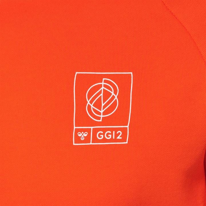 Image du produit hummel Gg12 Sweat Hoodie Femme (L)