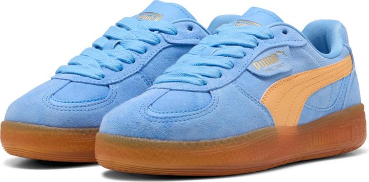 Team Light Blue-Almost Apricot
