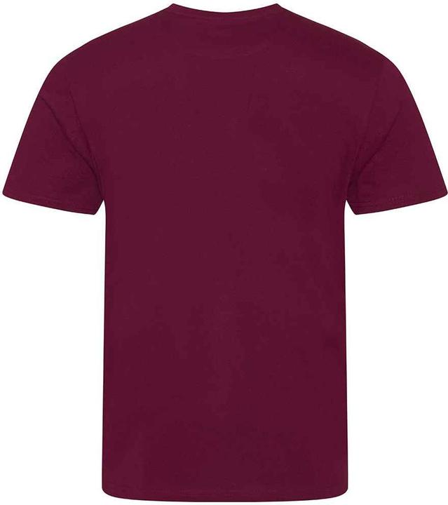 Image du produit Awdis - T-shirt CASCADE - Homme (XXL)