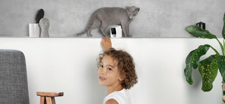 Produktbild Petcube Haustierkamera (Katzenminzespielzeug)