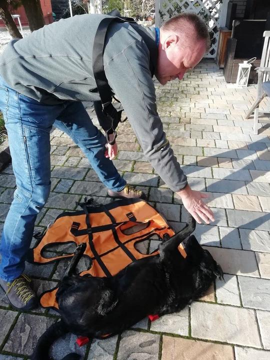 Immagine prodotto Singing Rock Imbracatura per cani da soccorso Laika (Cane, Generale)