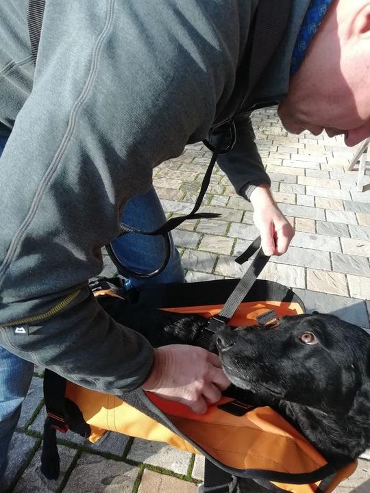 Immagine prodotto Singing Rock Imbracatura per cani da soccorso Laika (Cane, Generale)