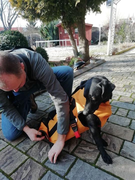 Immagine prodotto Singing Rock Imbracatura per cani da soccorso Laika (Cane, Generale)