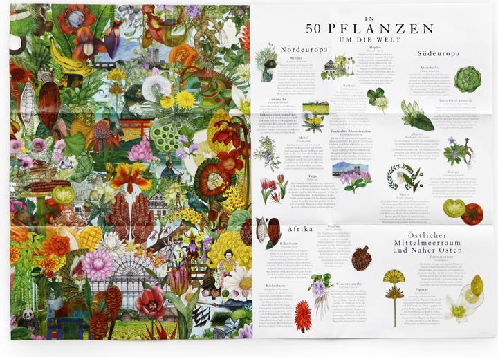 Produktbild In 50 Pflanzen um die Welt (1000 Teile)