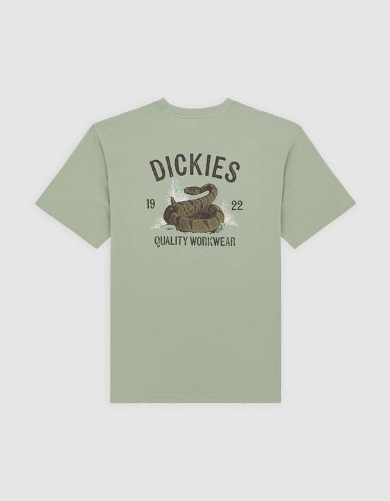Immagine prodotto Dickies Snake Ss Tee Iceberg Green (XL)
