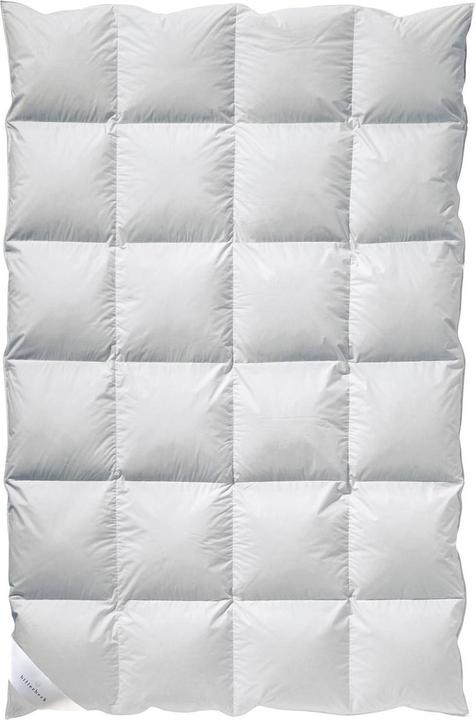Produktbild Billerbeck Gabriela 90 (1500 g, 155 x 220 cm)