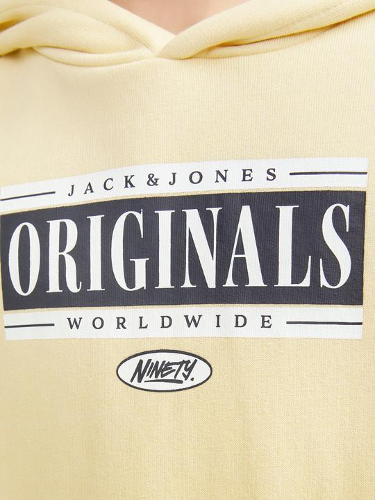 Image du produit Jack & Jones Jorcobin Sweat Hood Jnr (176)
