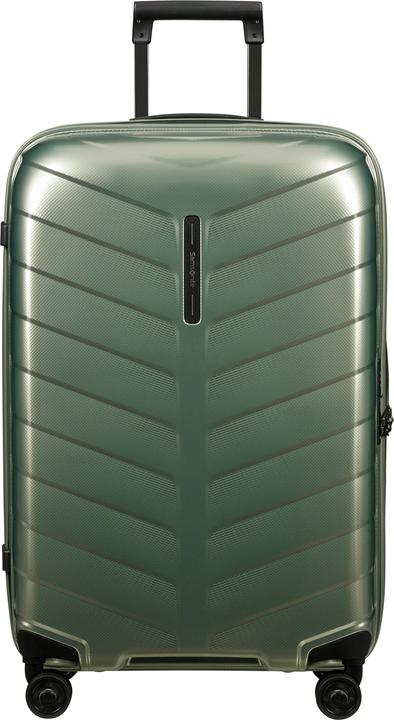 Basil green