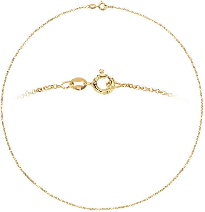 Immagine prodotto Bijouteria Catena in argento (Argento 925, Placcatura in oro (placcatura oro), 45 cm)