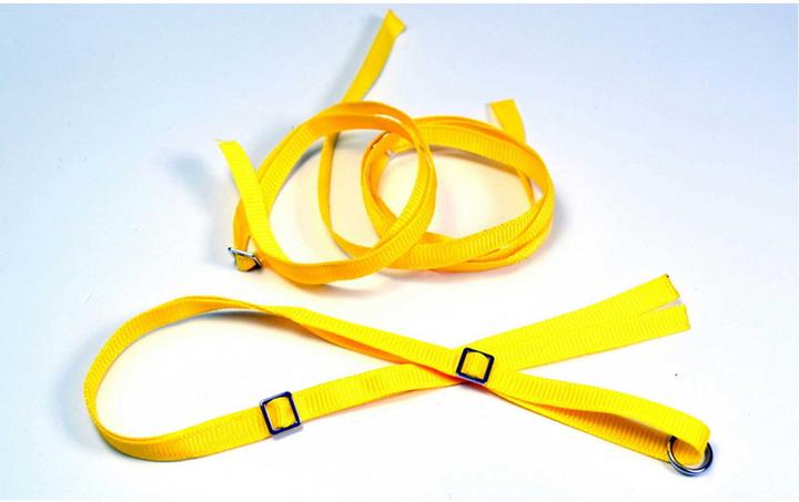 Actual product image Absima 0 Lashing straps Lashing eyes