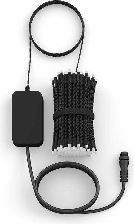 Image du produit Philips Hue Festavia (prise suisse) (20 m)