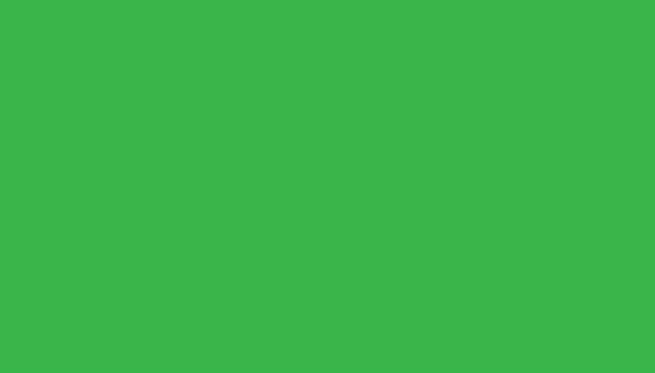 Actual product image Papyrus Clay characters A4 130g grass green (130 g/m², 100 x)