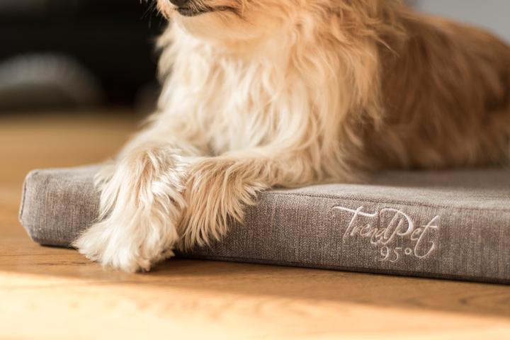 Immagine prodotto Trend Pet Cuccia per cani VitaMedog, L (Cane)