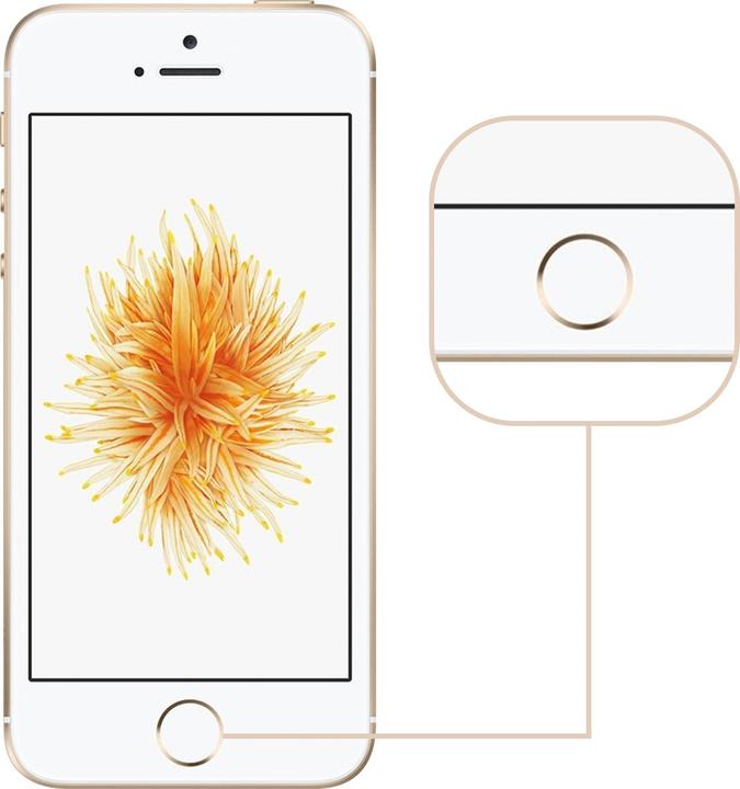 Image du produit Avizar Pièce détachée iPhone 5S/SE Bouton Home (iPhone SE (2016))
