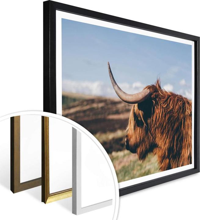 Image du produit Trenddeko Highland Cow 02 (30 x 24 cm)
