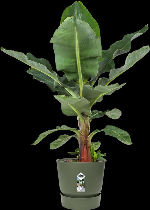 Image du produit Elho pots de fleurs (29.50 cm)