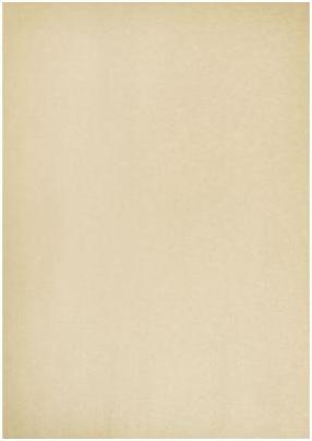 Image du produit Artoz Papier Glaze bronze shine (A4, 5 x)