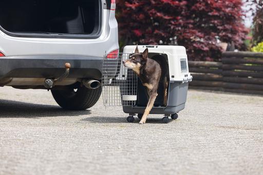 Actual product image Karlie Nomad transport box (Dog, Cat, Lockable)