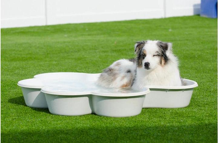 Immagine prodotto Neogard Piscina per cani a forma di zampa (Piscina per cani)