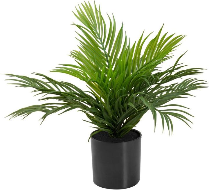 Actual product image Europalms Gold Fruit Palm, Artificial Plant, 46 cm (46 cm)