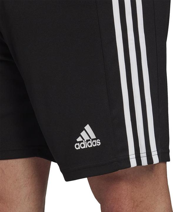 Actual product image adidas Squadra 21 Short (XS)