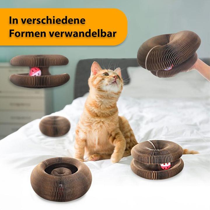 Produktbild Hermex Katzen Spielzeug (Beschäftigungsspielzeug Katze)