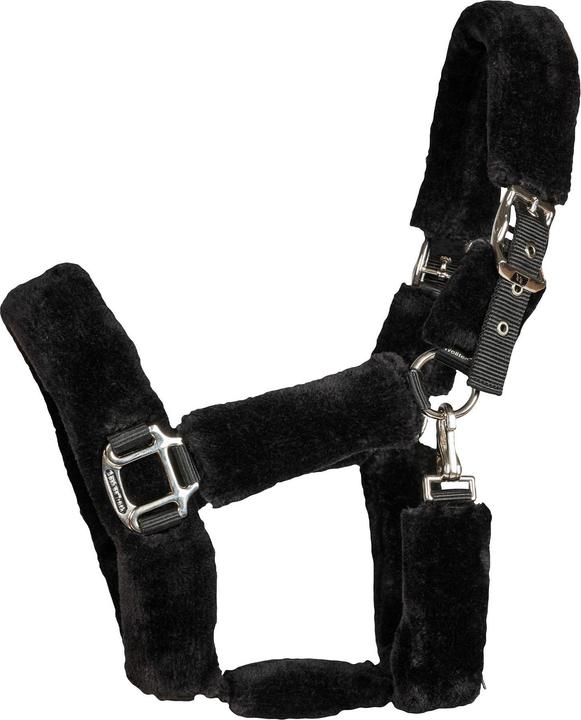 Actual product image Back on Track Audrey