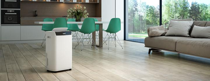 Immagine prodotto Olimpia Splendid Aquaria S1 24P (100 m², 24 l/24h)