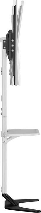 Actual product image SpeaKa Professional SP-TVS-600 TV-Standfuss Höhenverstellbar 94,0 cm (37") - 218 (86", 45 kg)