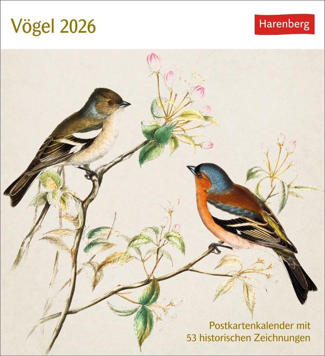 Produktbild Harenberg Vögel Postkartenkalender 2026 - Postkartenkalender mit 53 historischen Zeichnungen (Deutsch)