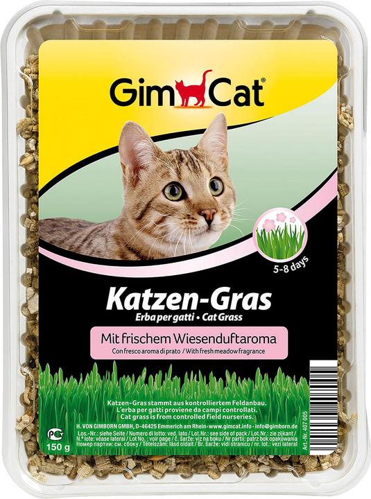 Actual product image Gimpet Cat grass with meadow scent (Adult, 1 pcs., 150 g)