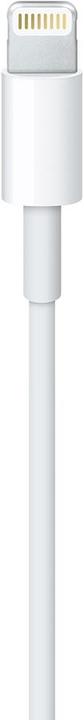Produktbild Apple Lightning – USB A (0.50 m, USB 2.0)