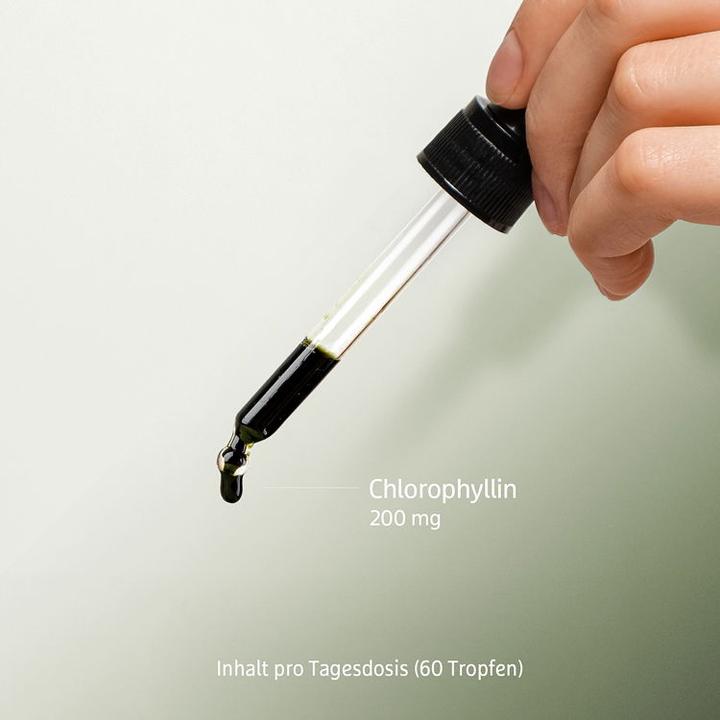 Produktbild Effective Nature Chlorophyll (1 Stück, Flüssigkeit)