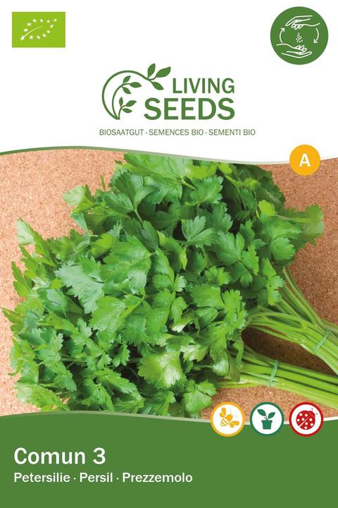 Produktbild Living Seeds Petersilie, einfache Schnitt 3 (Keimlinge)