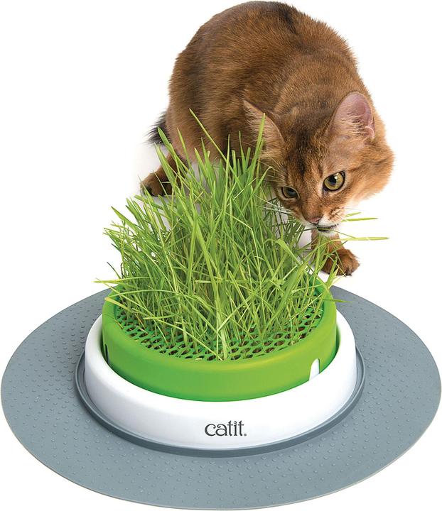 Image du produit Catit Senses 2.0 Grass Planter (Adulte, 1 pcs, 73 g)