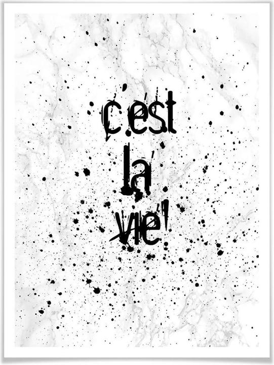 Image du produit Trenddeko C'est la vie (50 x 60 cm)