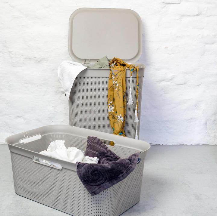 Actual product image Rotho Breezes (41 l)