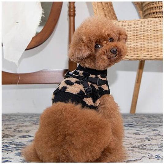 Actual product image Puppia Serval Harness White XL (XL, Dog coat)