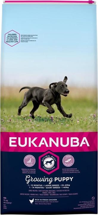 Actual product image Eukanuba Puppy & Junior Large Breed Chicken (Junior, 1 pcs., 15000 g)