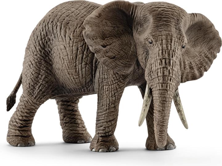 Immagine prodotto Schleich Elefantessa africana