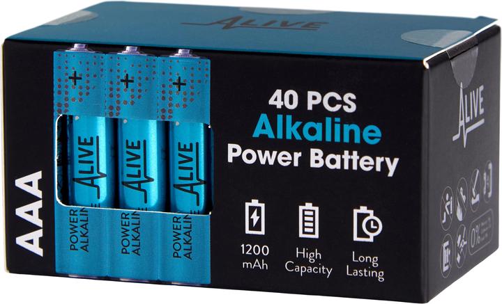 Actual product image Alkaline battery (40 pcs., AAA, 1200 mAh)