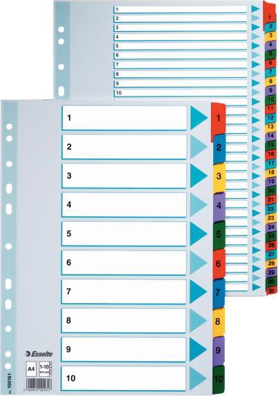 Immagine prodotto Esselte Registro Mylar A4 1-20 Multi C
