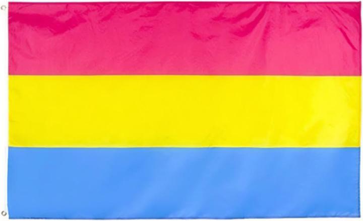 Image du produit Henbrandt - Drapeau PANSEXUAL