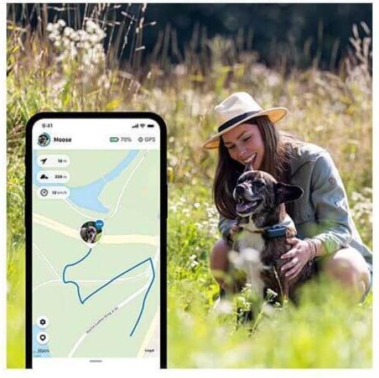 Productafbeelding Tractive Dog 4 GPS Tracker voor honden (Kat, Hond, Loop)