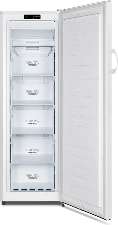 Actual product image Gorenje FN4172CW (Stand-alone, 194 l)
