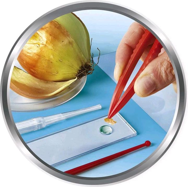 Produktbild Clementoni Natur unter dem Mikroskop