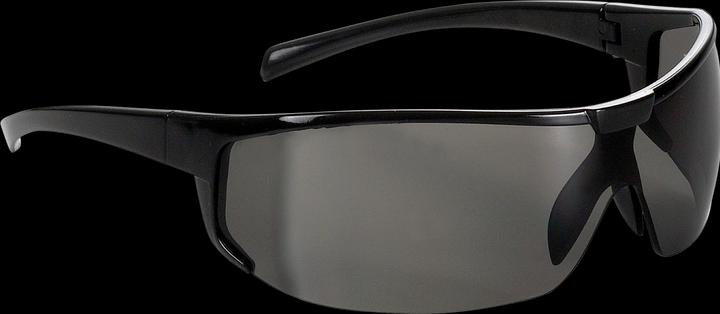 Actual product image Fortis Safety goggles tinted Polaris