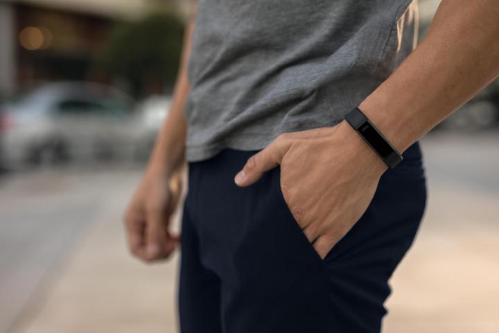 Produktbild Fitbit Alta HR Special Edt. (15 mm)