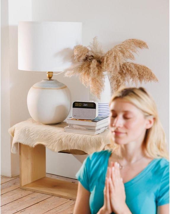 Immagine prodotto Pure Momento (FM, DAB, Bluetooth)