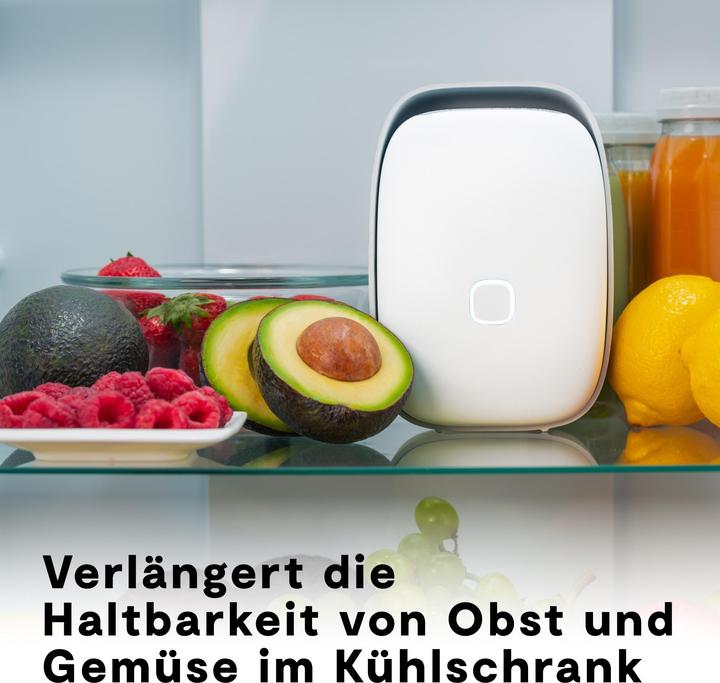 Actual product image Vitesy Shelfy